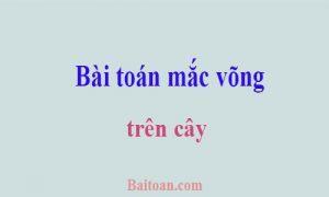 Bài toán mắc võng trên cây sao cho đủ