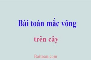 Bài toán mắc võng trên cây sao cho đủ