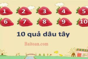 Dạy bé đếm 10 quả dâu tây