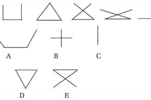 Tiếp theo trình tự sẽ là hình nào?