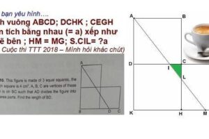 Bài toán tiểu học tính diện tích hay