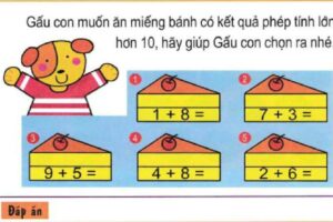 Bài toán giúp gấu con chọn ra miếng bánh