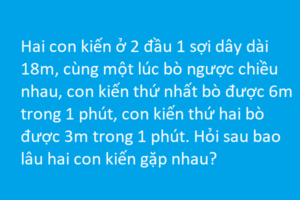 Bài toán tìm thời gian 2 con kiến gặp nhau - Toán lớp 5