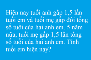 Bài toán tính tuổi ôn thi vào lớp 6 trường Lương Thế Vinh