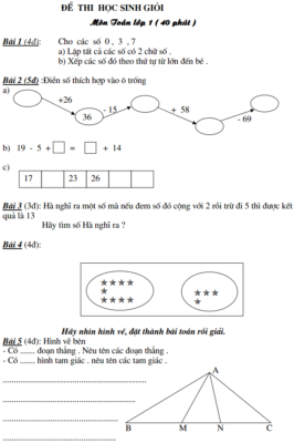 Đề thi học sinh giỏi Toán lớp 1 (mẫu)