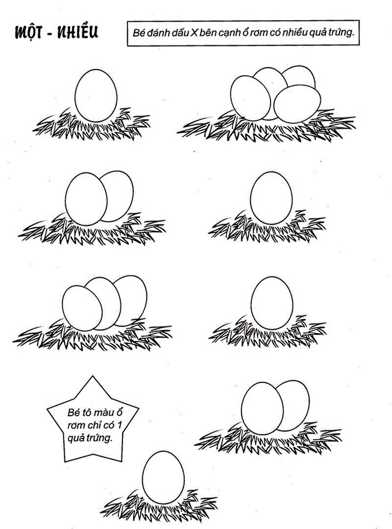 Hướng dẫn cách vẽ quả trứng đơn giản với 7 bước cơ bản