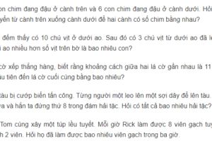 5 bài toán nâng cao lớp 2 có lời văn