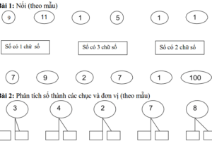 Một số bài toán về số và chữ số lớp 2