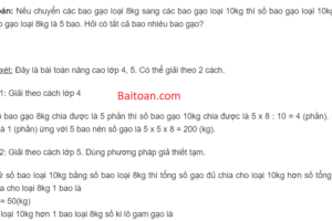 Hỏi có tất cả bao nhiêu bao gạo?