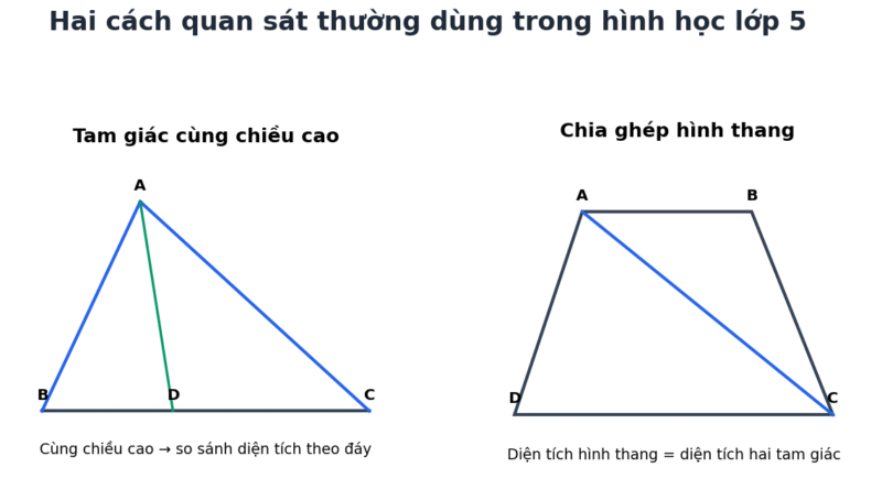 Minh họa tam giác cùng chiều cao và chia hình thang bằng đường chéo