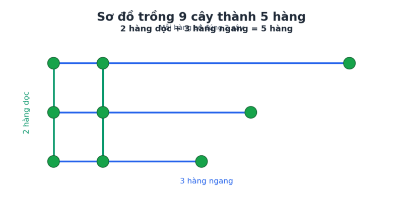 Sơ đồ trồng 9 cây thành 5 hàng, mỗi hàng 3 cây