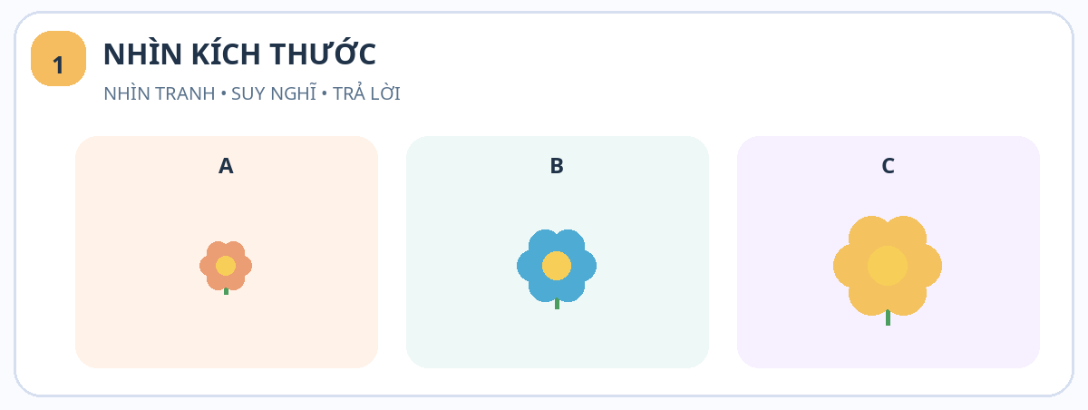 Tranh minh họa bài 1: nhìn kích thước – Bé trồng những bông hoa – bài tập Toán cho bé 3 tuổi